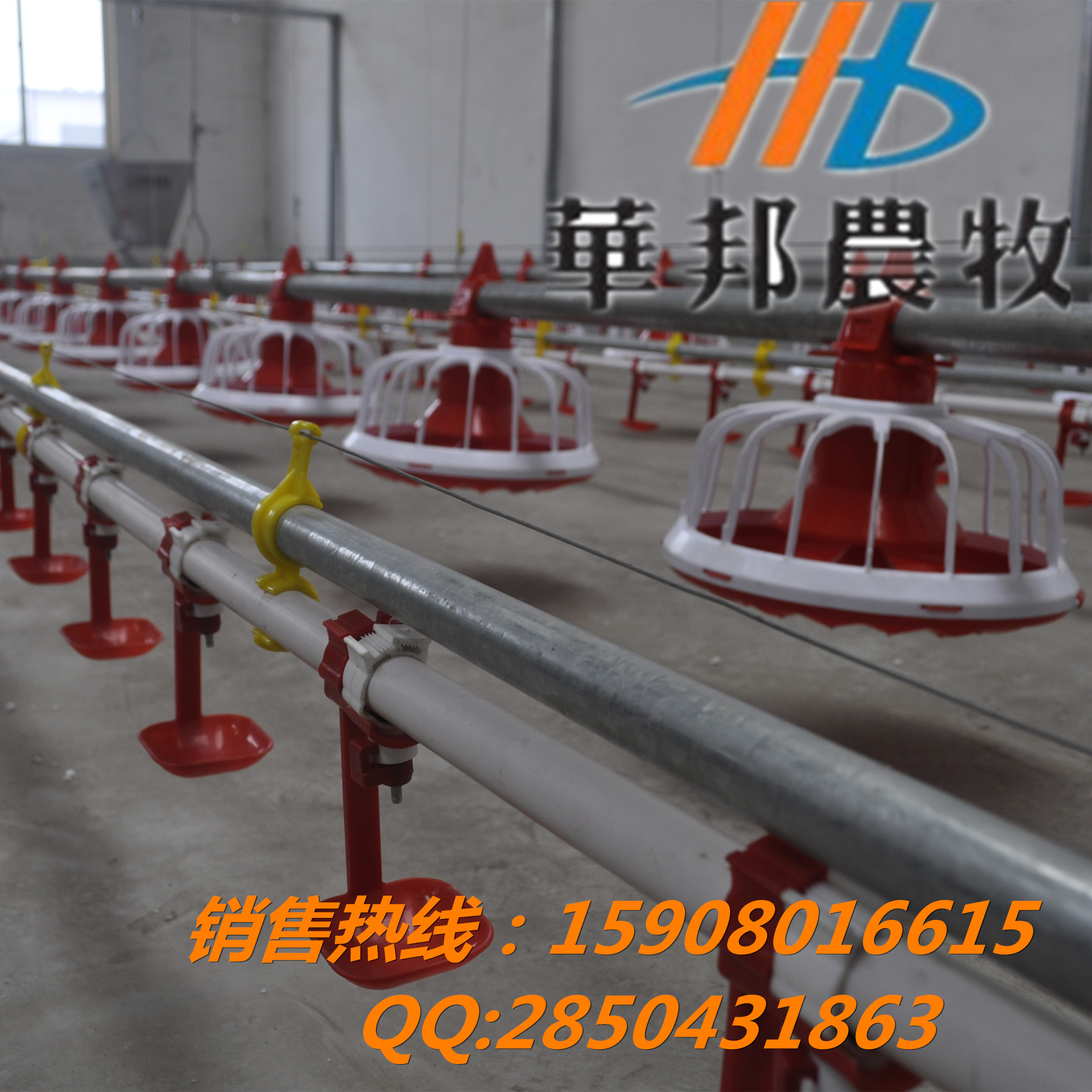 供應肉雞喂料機 養(yǎng)雞設(shè)備自動化廠家青