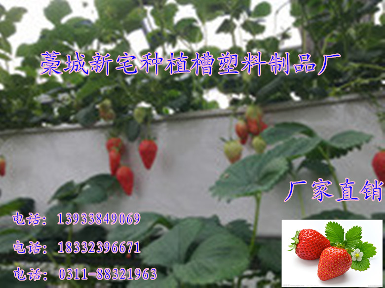 立體蔬菜栽培槽