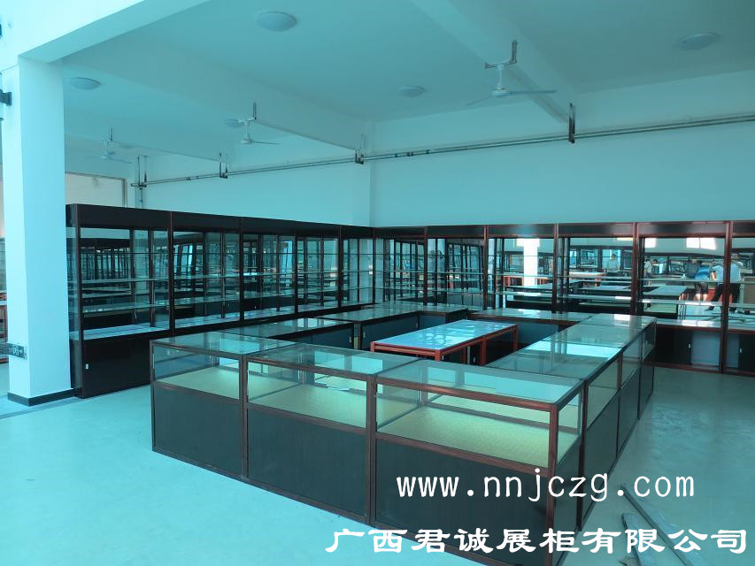 供應(yīng)用于展示，擺放的廠家定制*展柜，各種貨架