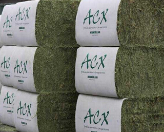 供應用于的進口苜蓿草,低成本*，可提高