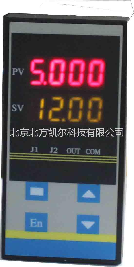 供應(yīng)智能雙通道顯示儀廠家直銷，北京儀器儀表廠家價格