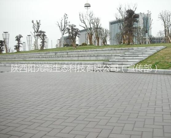 供應生態(tài)砂基透水磚、海綿城市砂基透水磚、通體透水磚——實現(xiàn)透水、過濾、凈化于一體