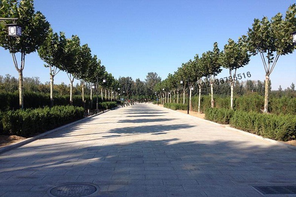 供應(yīng)天津東華林公墓和靜園