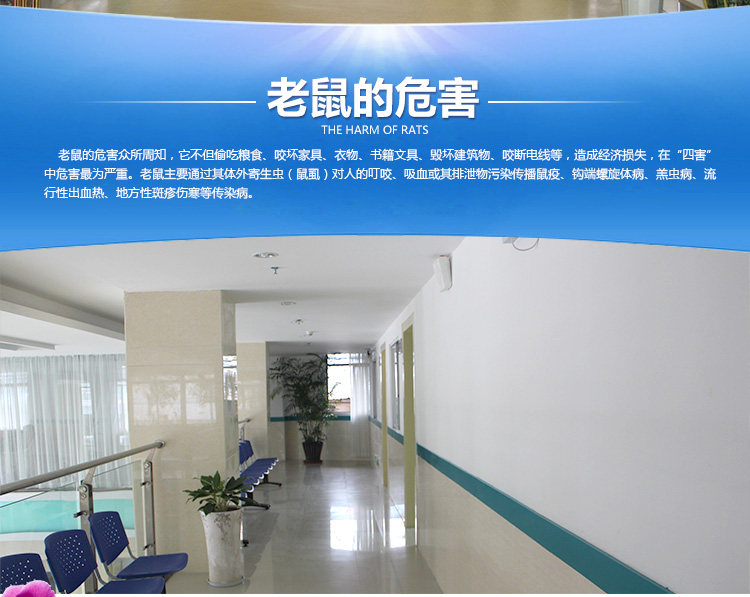 供應云南昆明官渡區(qū)滅鼠殺蟲公司-云南昆明官渡區(qū)滅鼠殺蟲公司在哪家-云南昆明官渡區(qū)滅鼠殺蟲公司電話多少-質量如何