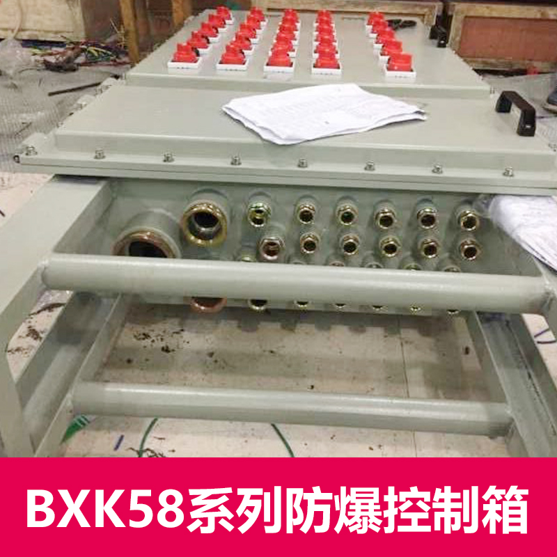 供應(yīng)重慶市九龍坡區(qū)非標(biāo)防爆配電箱定做  防爆配電箱專業(yè)設(shè)計(jì)