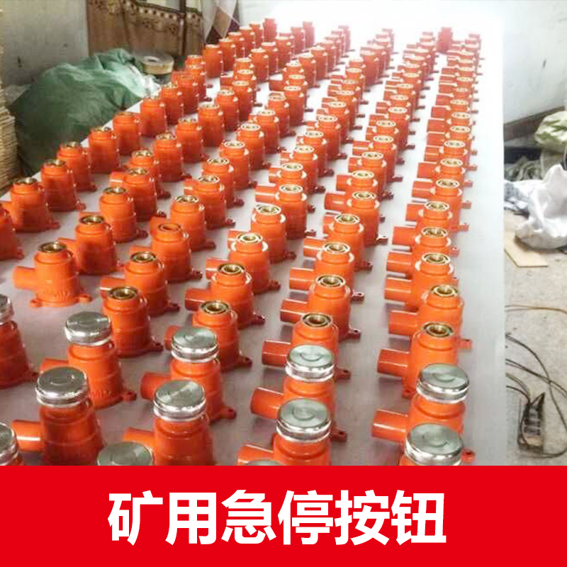 供應(yīng)礦用急停按鈕 礦用隔爆型急停按鈕 上海急停按鈕廠家直銷