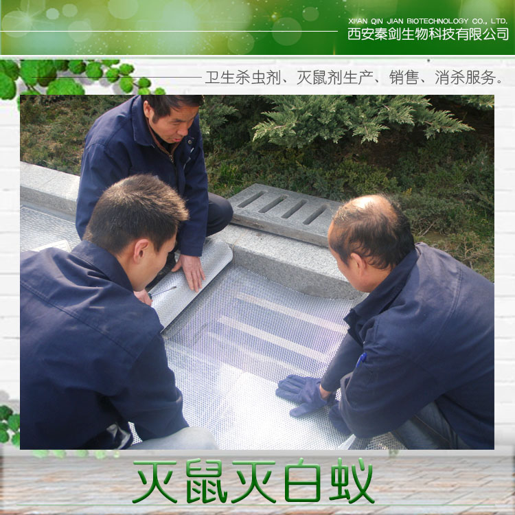 供應(yīng)陜西滅鼠滅白蟻 滅鼠劑 白蟻粉價(jià)格 專業(yè)滅鼠滅白蟻服務(wù)