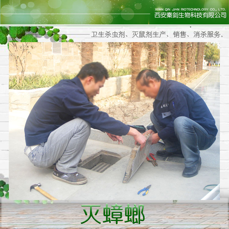 供應(yīng)陜西秦劍滅蟑螂 滅蟑螂*藥 滅蟑螂小竅門 滅蟑螂公司