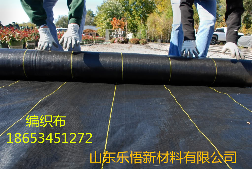 供應(yīng)優(yōu)質(zhì)編織布廠家 編織布報(bào)價(jià) 編織布*價(jià)
