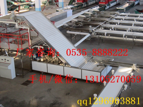 供應煙臺大櫻桃櫻桃直徑選果設備