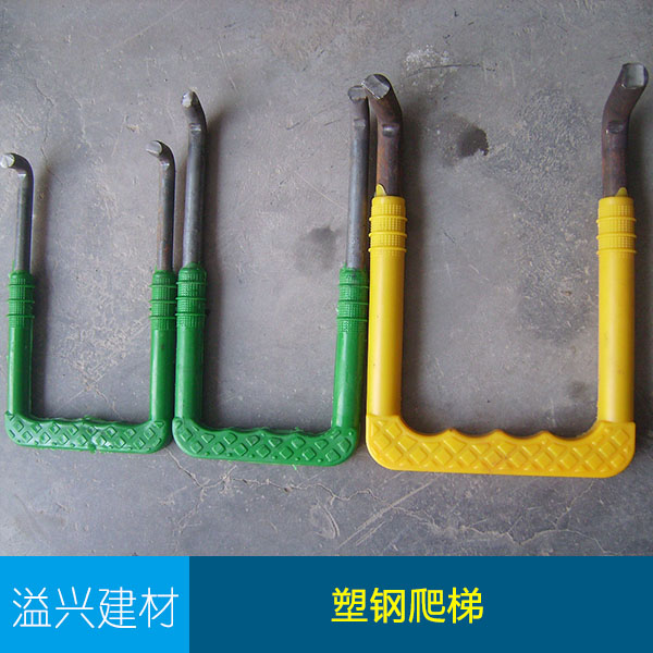 供應(yīng)宜賓爬梯 塑鋼爬梯 鑄鐵爬梯 污水井爬梯 檢查井踏步 窖井爬梯