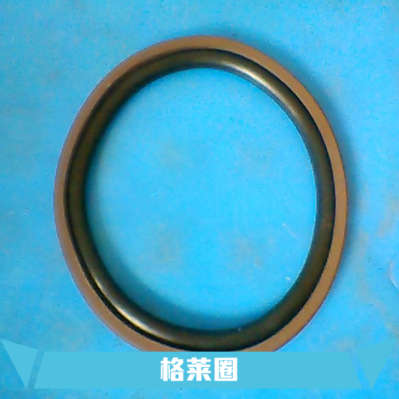 供應機械密封件生產(chǎn) 揚中斯特封格萊圈生產(chǎn)廠家 揚中四氟墊片擋圈生產(chǎn)廠家