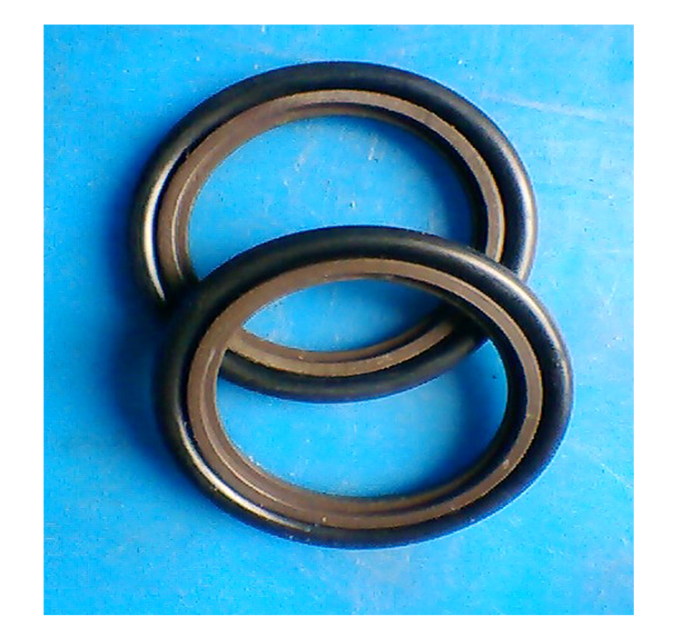 供應(yīng)PTFE制品生產(chǎn)廠家，斯特封 格萊圈 支承環(huán)生產(chǎn)廠家