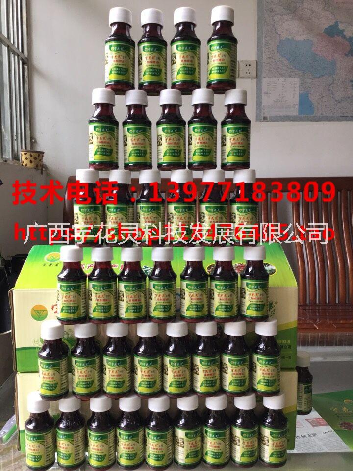 供應(yīng)用于果樹控梢促花的當(dāng)前龍眼出紅葉怎么辦？