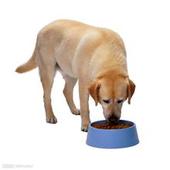 供應(yīng)怎么從香港進(jìn)口兔子飼料