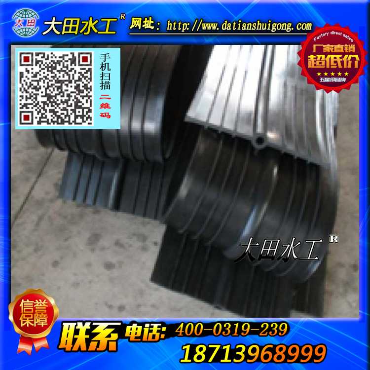 批發(fā)Ｐ型橡膠止水/Ｐ型閘門水封/大頭橡皮/Ｌ型閘門側止水/鋼邊橡膠止水帶*價格