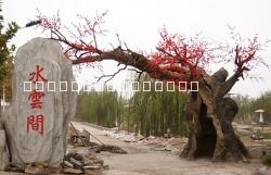 供應唐縣GRC塑山制作水泥假樹仿真樹大門施工