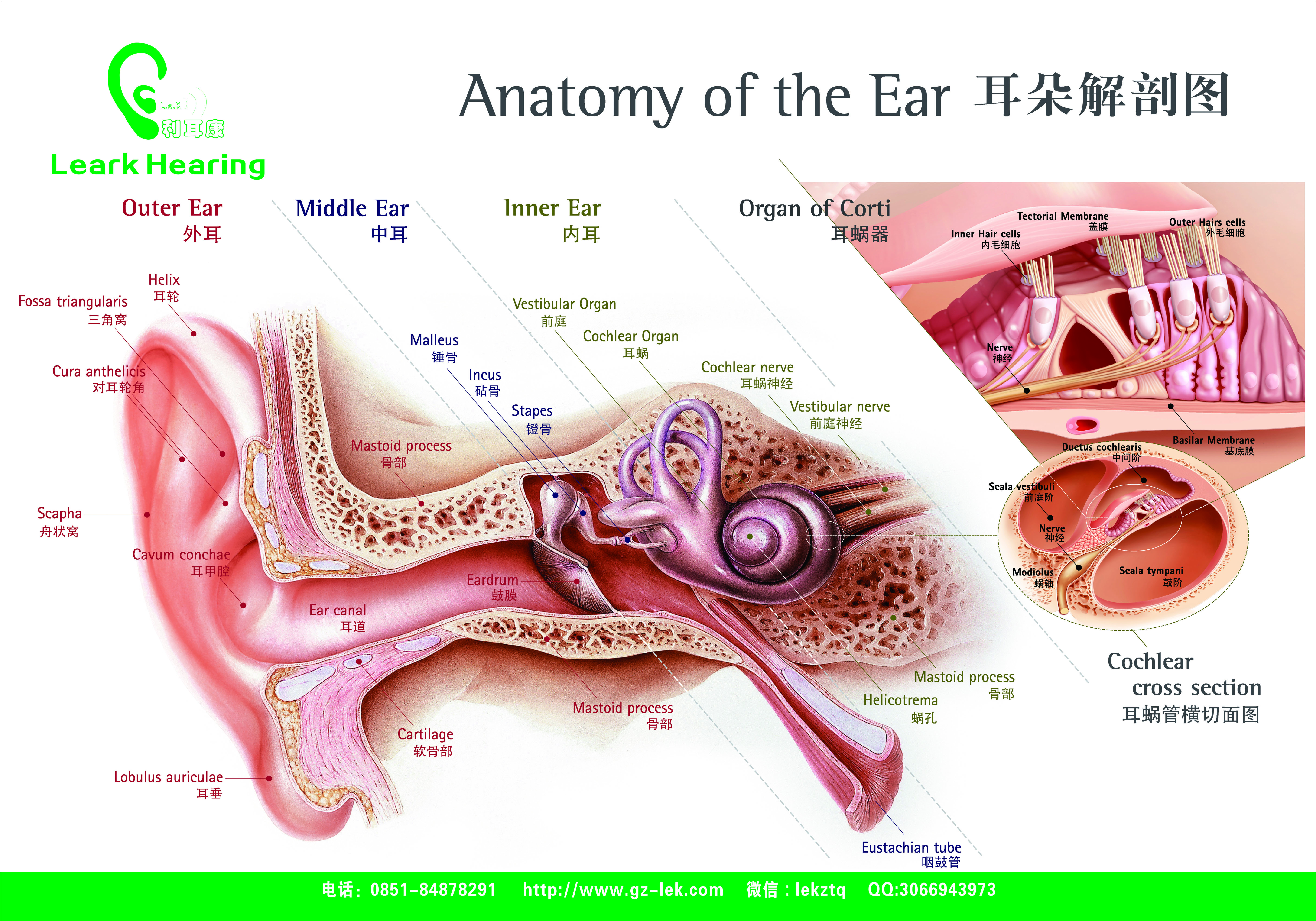 貴陽助聽器價格 貴陽助聽器 貴陽助聽器品牌 貴陽助聽器報價