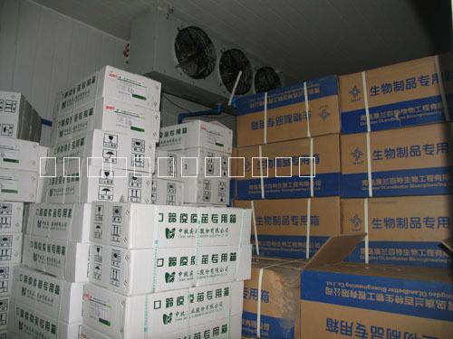 供應(yīng)GSP*醫(yī)藥冷庫&醫(yī)藥冷庫定制|醫(yī)藥冷庫安裝