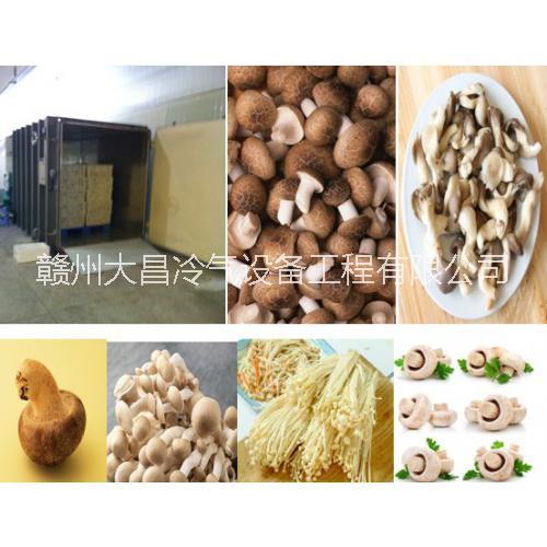供應(yīng)花菜真空預(yù)冷保鮮機(jī)，真空預(yù)冷設(shè)備保鮮庫