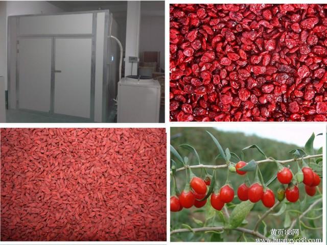 枸杞空氣源熱泵烘干設(shè)備輸送帶