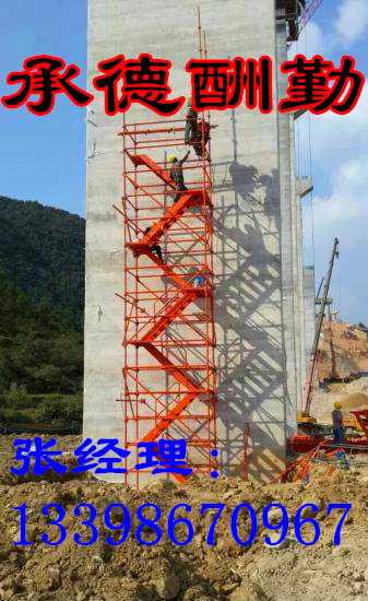 供應(yīng)用于道路|橋梁|隧道的安全爬梯