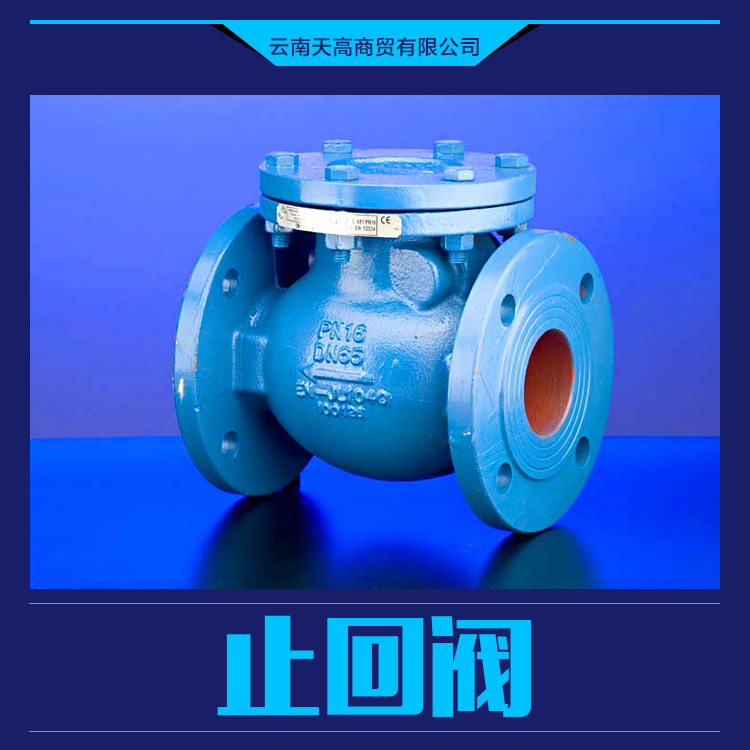 供應(yīng)止回 閥 升降式止回閥 蝶式止回閥 旋啟式止回閥
