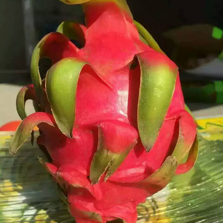 供應(yīng)用于食用的應(yīng)季水果，鮮果，進(jìn)口水果惠州同城配送