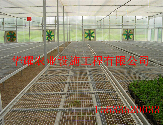 苗床網(wǎng) 供應(yīng)苗床網(wǎng)價格 熱鍍鋅苗床網(wǎng)廠家  熱鍍鋅苗床網(wǎng)價格
