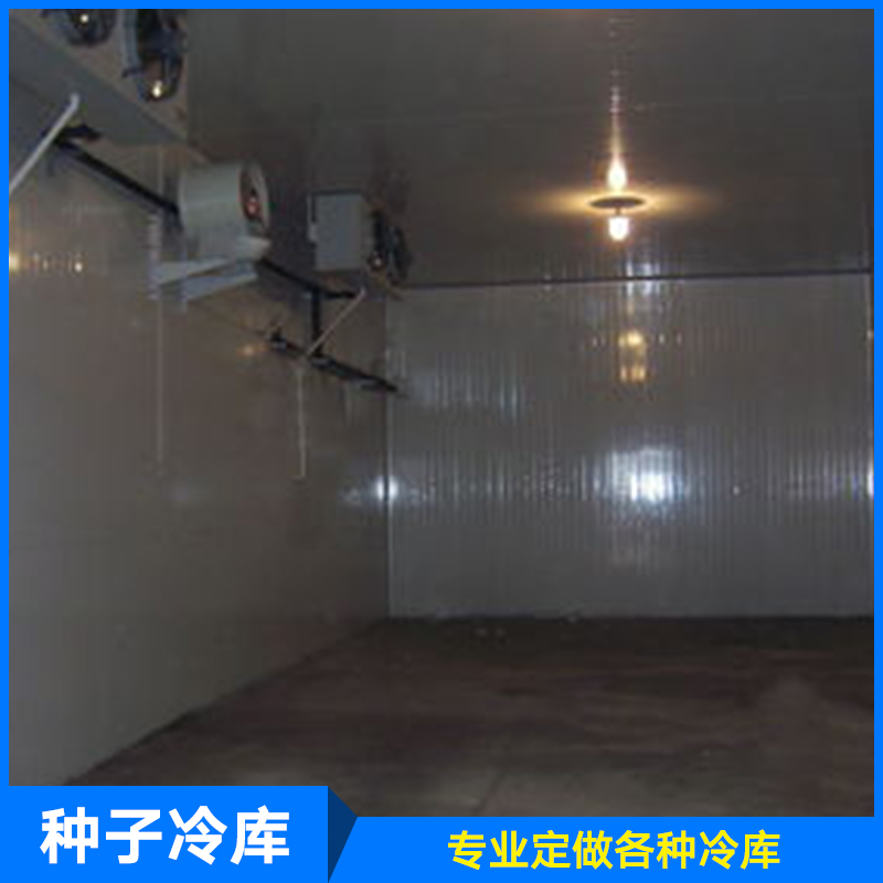 供應(yīng)廠家直銷生產(chǎn)定制制冷設(shè)備保鮮冷庫種子冷庫