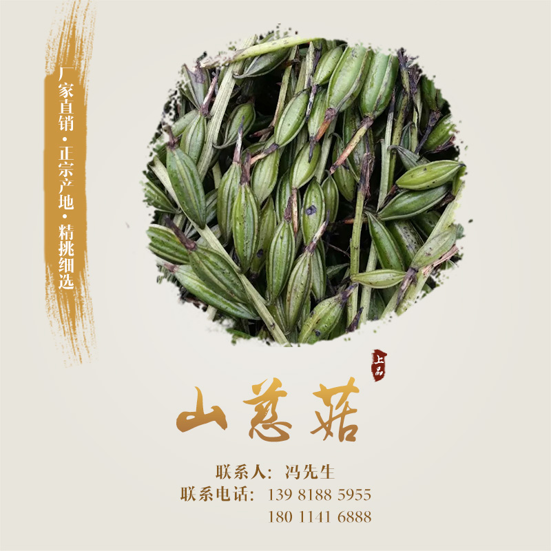 供應(yīng)山慈菇 山慈菇種子、種苗 山慈菇報(bào)價(jià) 山慈菇廠家直銷