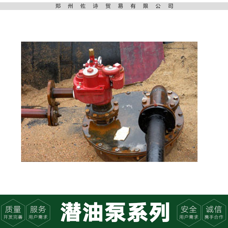 供應(yīng)潛油泵系列 加油站設(shè)備 潛油泵廠家 潛油泵現(xiàn)貨 潛油泵報價