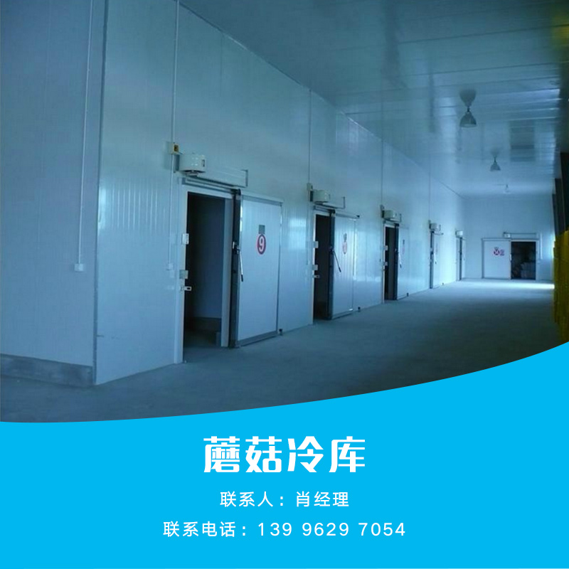 供應蘑菇冷庫 蘑菇冷庫批發(fā) 蘑菇冷庫供應 蘑菇冷庫價格