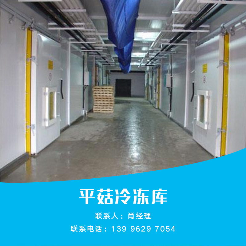供應(yīng)平菇冷凍庫(kù) 冷藏設(shè)備 加工設(shè)備 保險(xiǎn)設(shè)備 冷凍庫(kù)報(bào)價(jià)