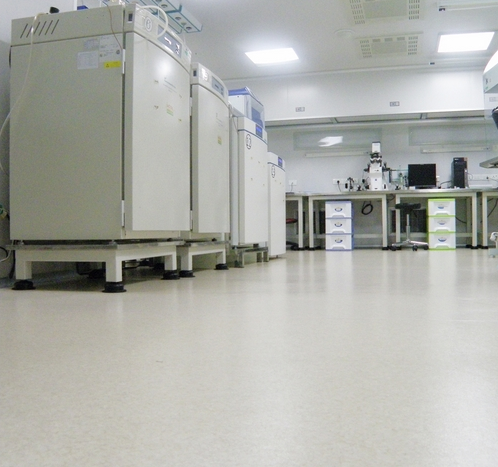 供應(yīng)實驗室耐酸堿地板膠、塑膠地板