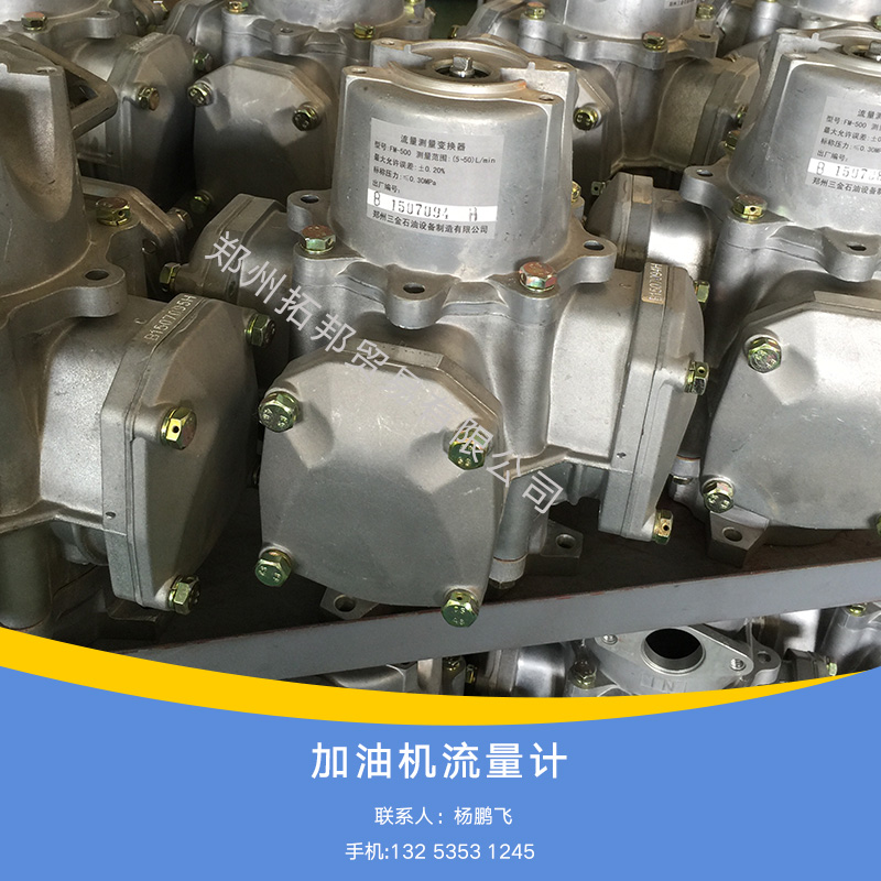 供應(yīng)廠家直銷橢圓齒輪加油機(jī)配件可歸零加油機(jī)流量計智能加油機(jī)流量計