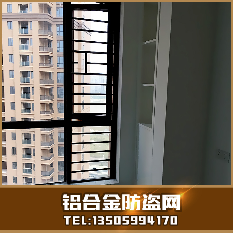 供應(yīng)福建優(yōu)質(zhì)鋁合金防盜網(wǎng)報(bào)價(jià) 防盜窗大量現(xiàn)貨