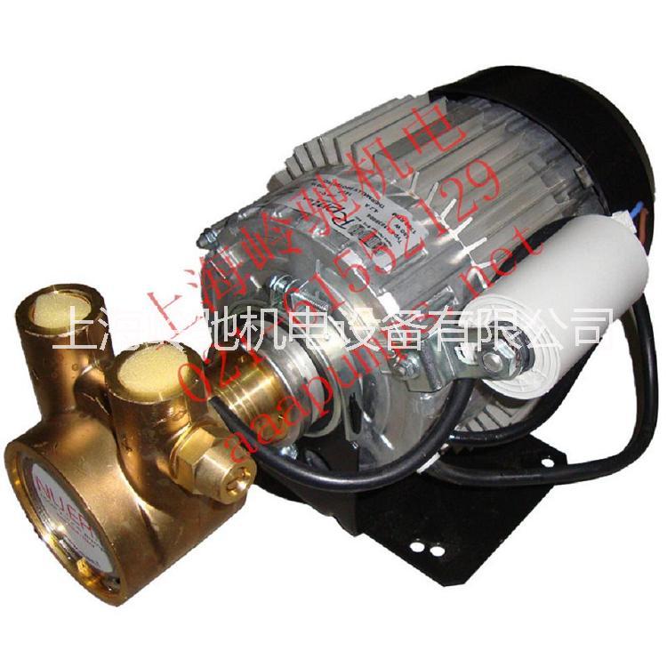 供應(yīng)進(jìn)口電容外置旋轉(zhuǎn)葉片泵 水泵油泵