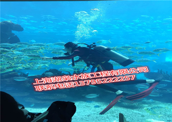 大型魚缸定做生產(chǎn)廠家、大型魚缸定做供應(yīng)商、大型魚缸定做公司的聯(lián)系方式,