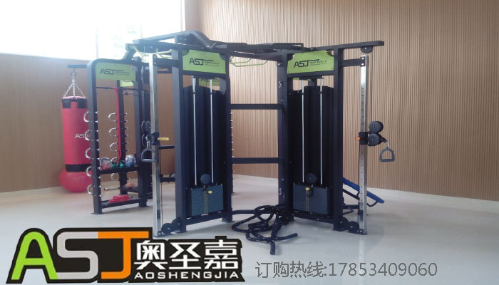 供應(yīng)ASJ-360-F多功能訓(xùn)練器力量有氧器械提供了循環(huán)訓(xùn)練、彈力帶訓(xùn)練、TRX懸掛訓(xùn)練、胡玲訓(xùn)練、拳擊訓(xùn)練、課程