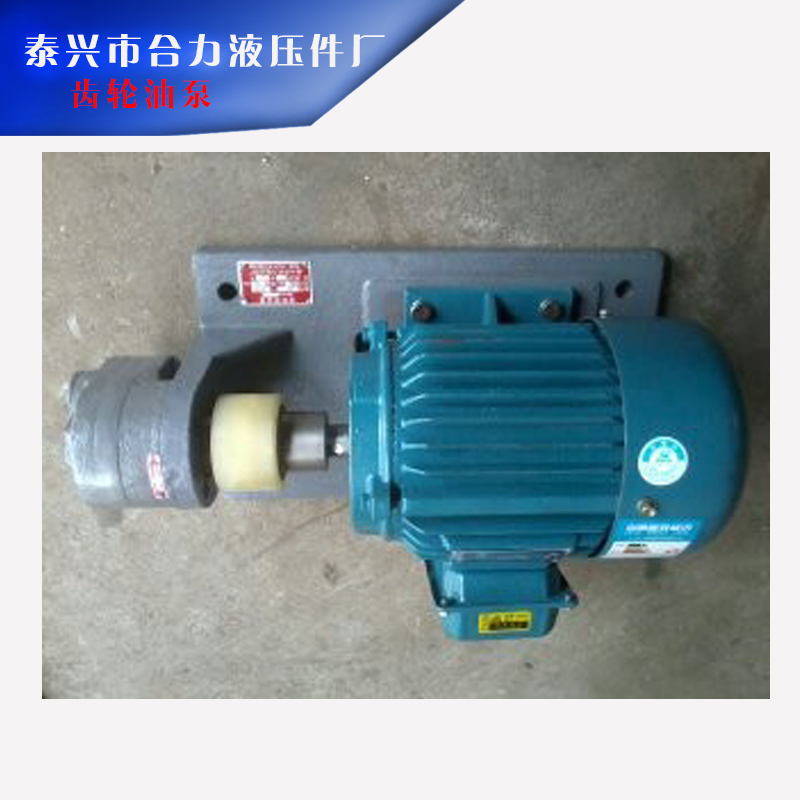 泰興合力液壓件廠供應用于減速機的齒輪油泵、不銹鋼耐腐蝕齒輪泵|