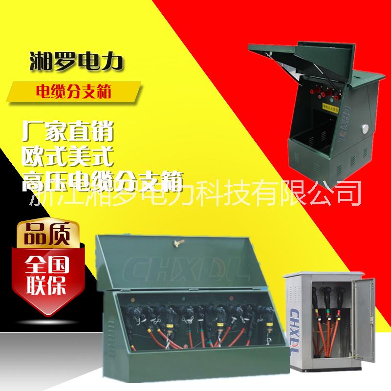 供應(yīng)高壓電纜分支箱10KV歐式環(huán)網(wǎng)柜計(jì)量柜