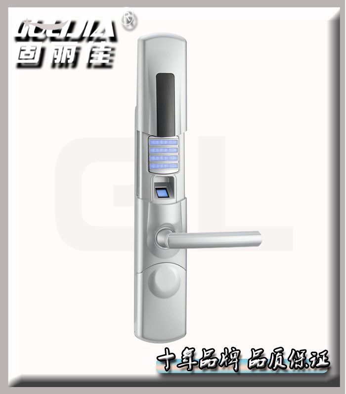 廠家直接供應(yīng)家庭防盜門鎖智能指紋門鎖指紋密碼鎖