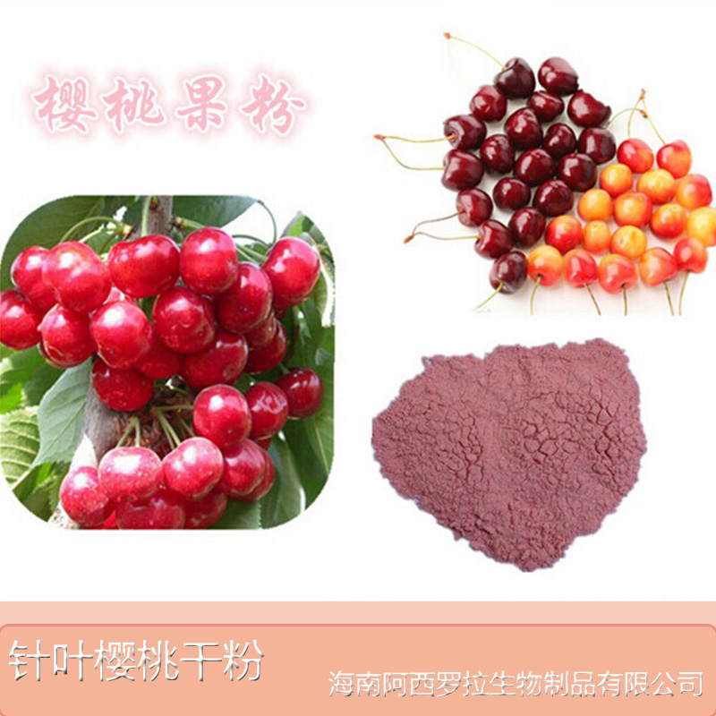 供應(yīng)針葉櫻桃干粉批發(fā) 針葉櫻桃提取活性物質(zhì)微生物 祛斑美白*能力