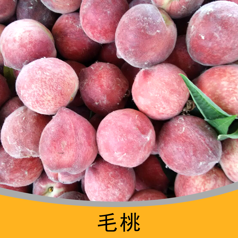 用于批發(fā)的毛桃多少錢，山東毛桃批發(fā)，毛桃市場(chǎng)批發(fā)價(jià)格