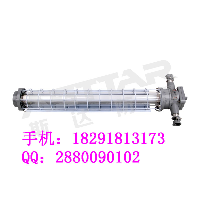 供應(yīng)廠家直銷斯達防爆牌煤礦用DGS12/127C礦用巷道燈