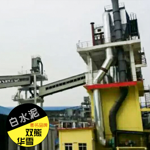 天石雙熊華雪供應(yīng)華雪白水泥、白色硅酸鹽水泥|河北建筑裝飾白水泥批發(fā)