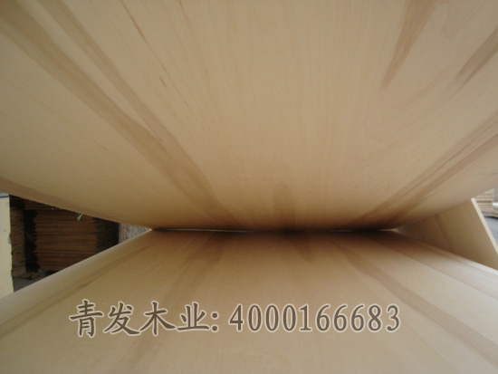 供應(yīng)用于的楊木拼板