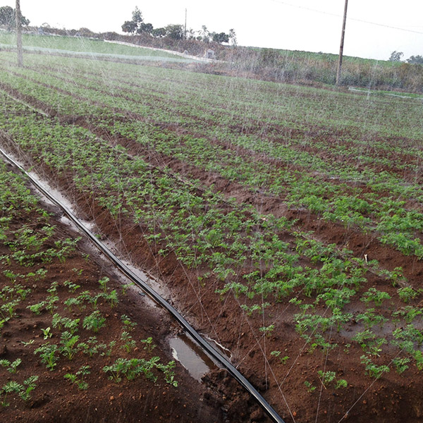 供應(yīng)微噴帶 節(jié)水微噴帶 園林微噴帶 微噴帶廠家 微噴帶直銷