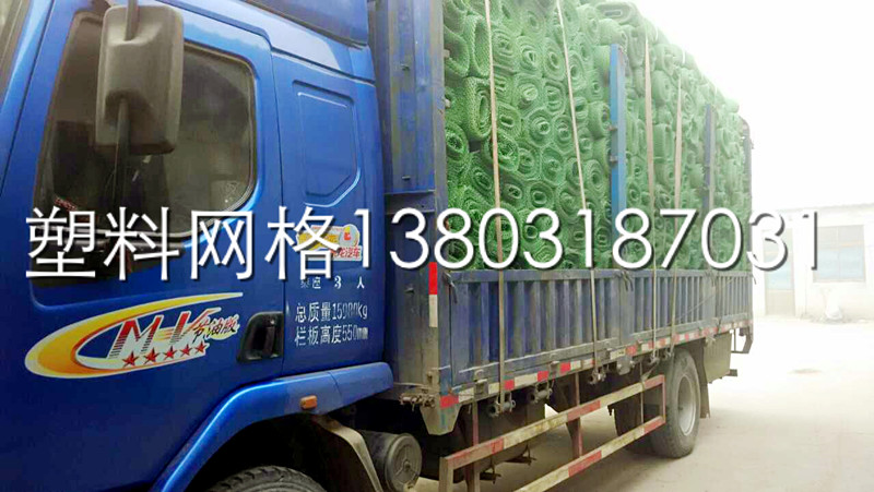 供應(yīng)用于土工建材的智和土工廠專業(yè)生產(chǎn)土工網(wǎng)，攀爬網(wǎng)